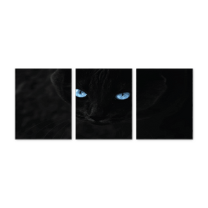 Black Panther Wall Art - Ready To Hang